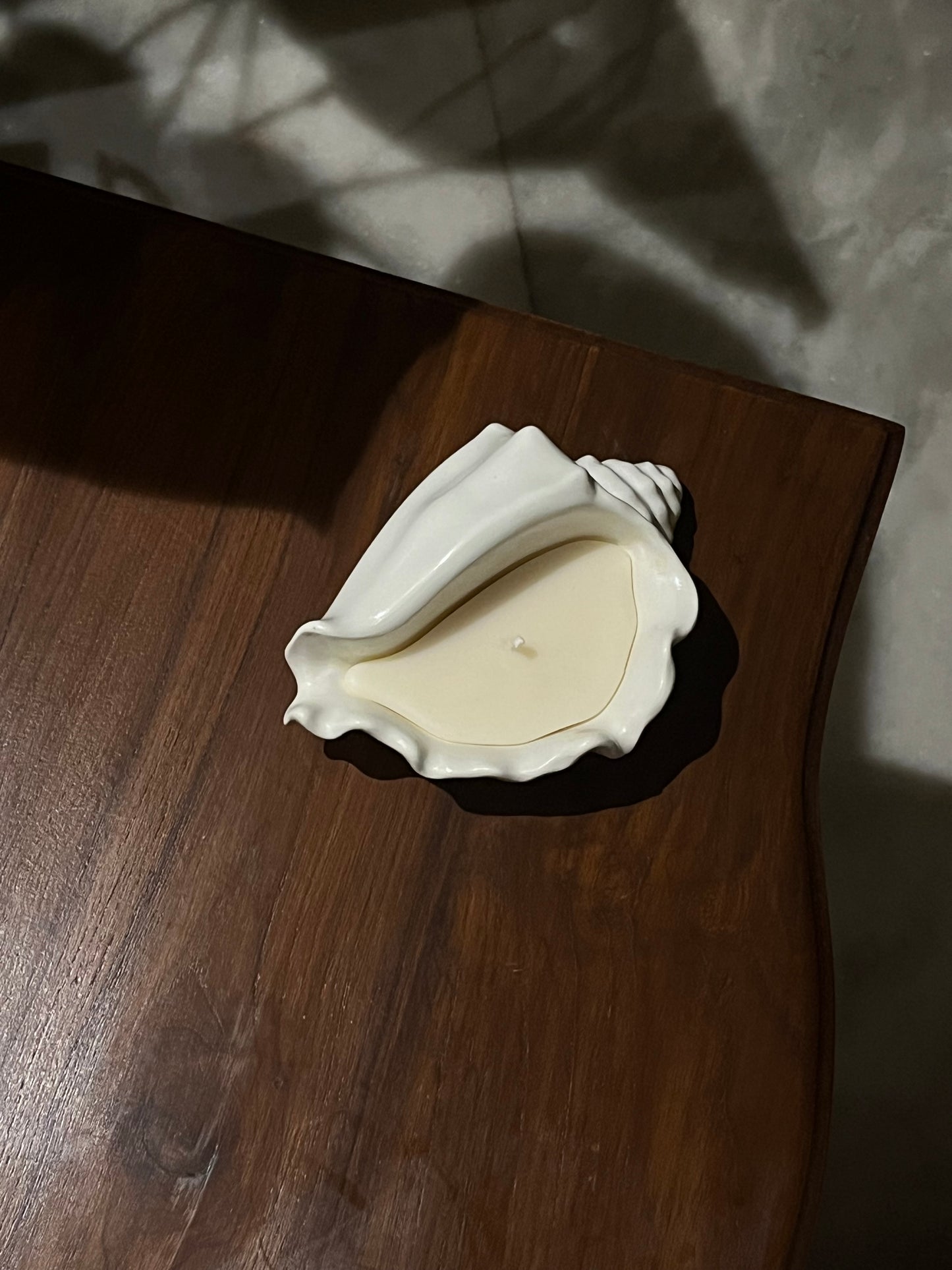 Conch Shell (Narrow)