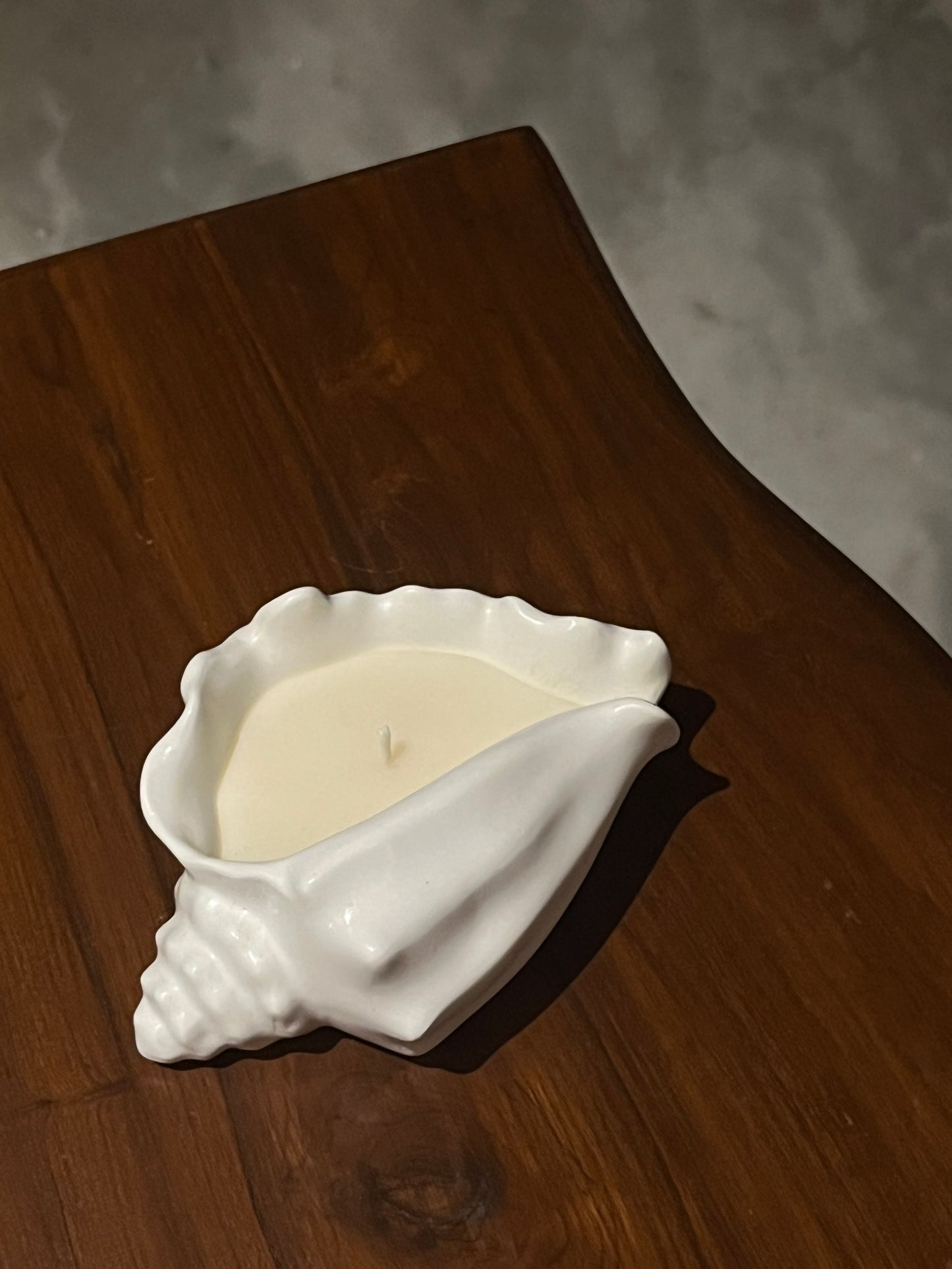 Conch Shell (Narrow)
