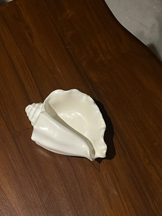 Conch Shell (Narrow)