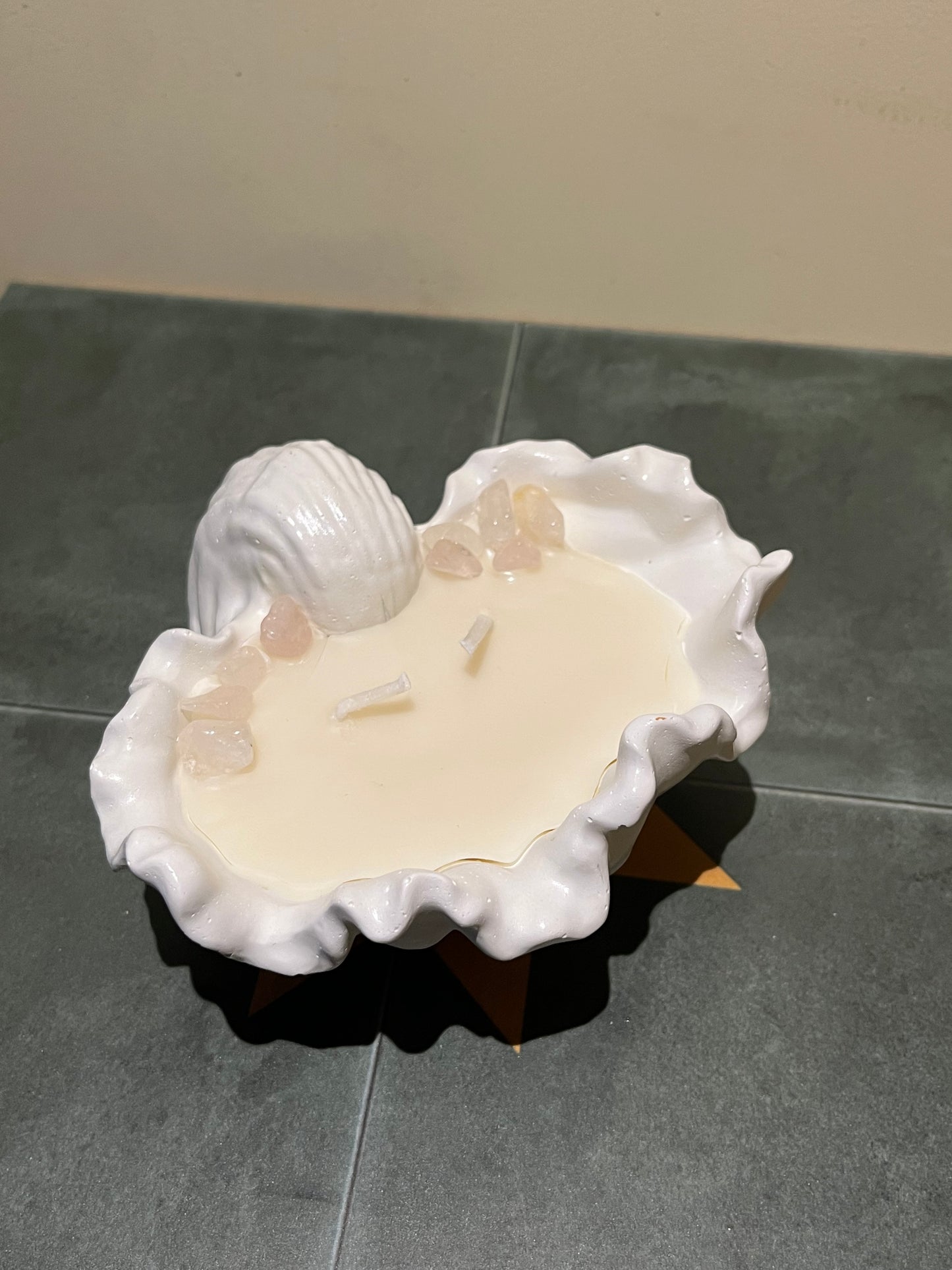 Tulip Shell Bowl