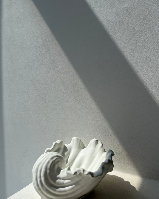 White decorative shell on a light gray background with soft shadows