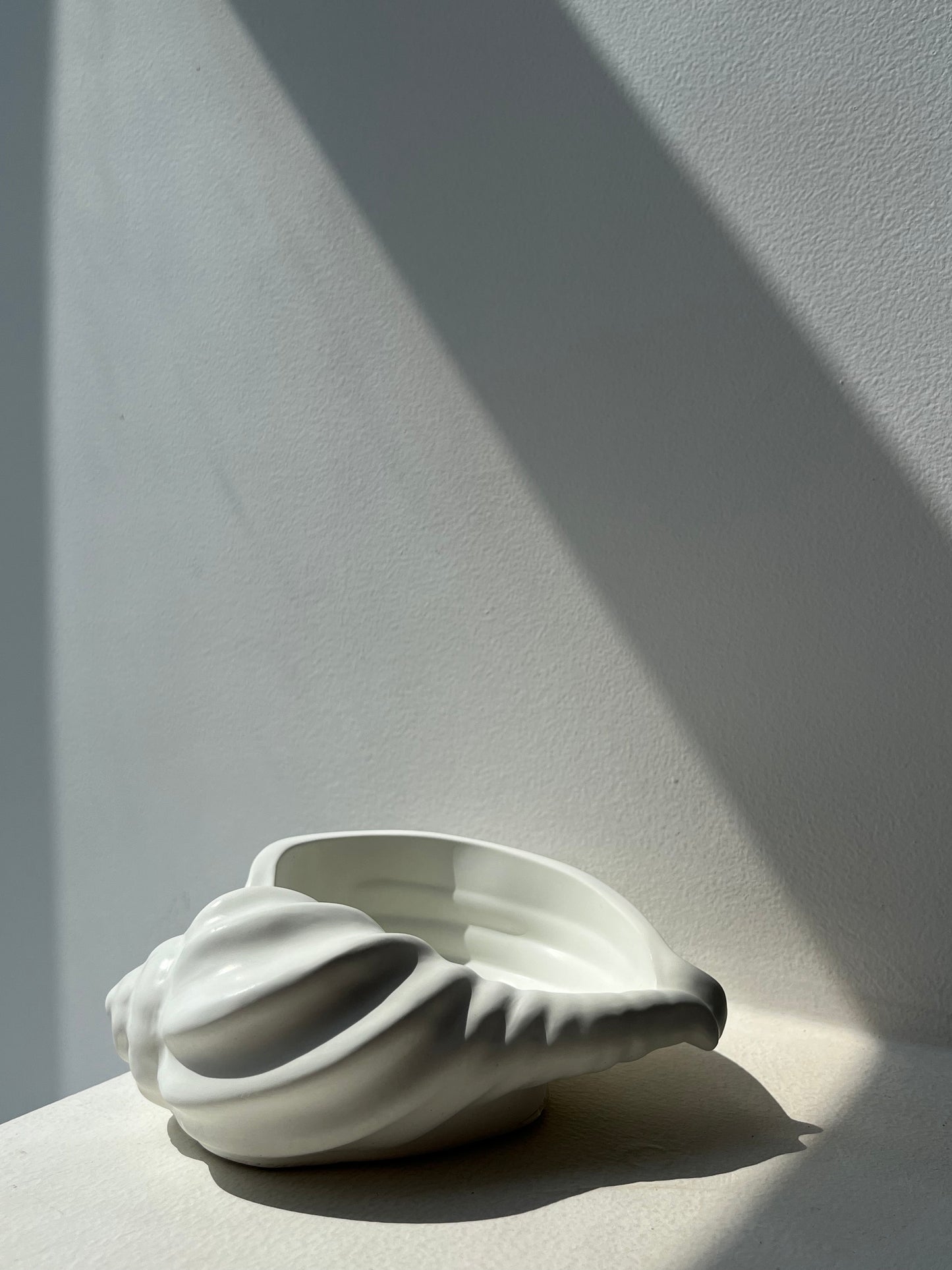 Conch Shell (wide)