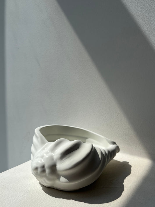 Conch Shell (wide)